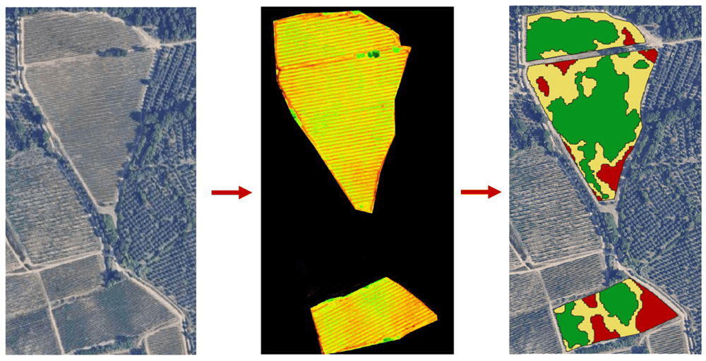 mappa-ndvi-vigneto-zonazione-vigore-chianti-classico