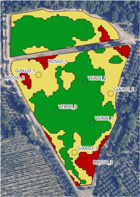 punti-campionamento-uva-zone-vigore-vigneto