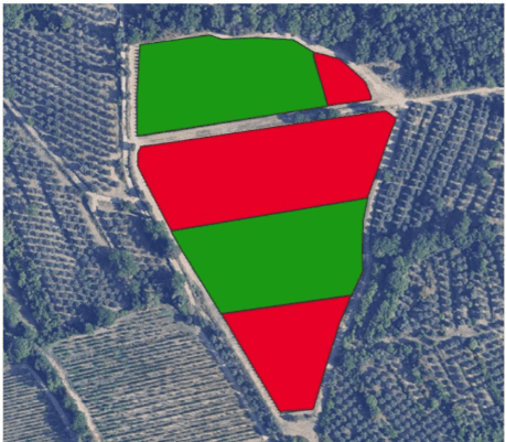 schema-vendemmia-selettiva-aree-vigore-vigneto-trattore