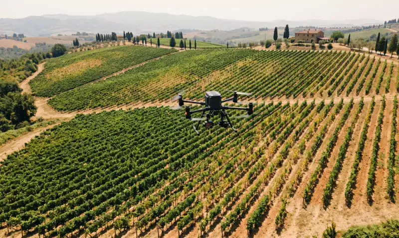 Drone che sorvola un vigneto per monitoraggio agricolo.