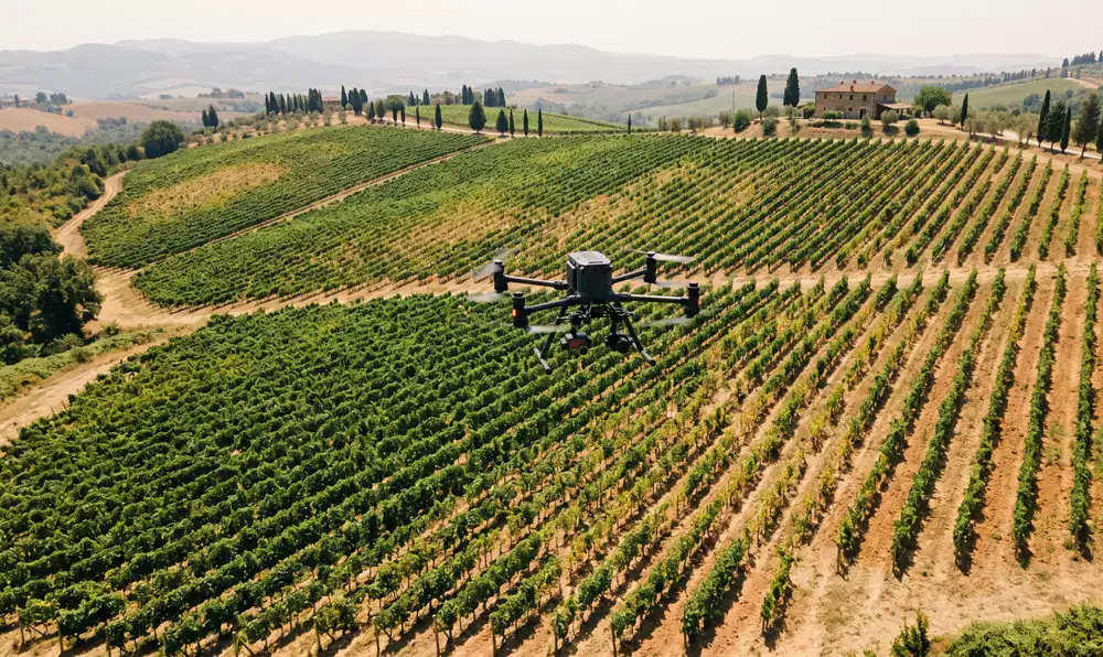 Πτήση drone πάνω από αμπελώνα για γεωργική παρακολούθηση.