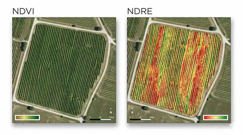 Immagine satellitare NDVI e NDRE di un campo agricolo.