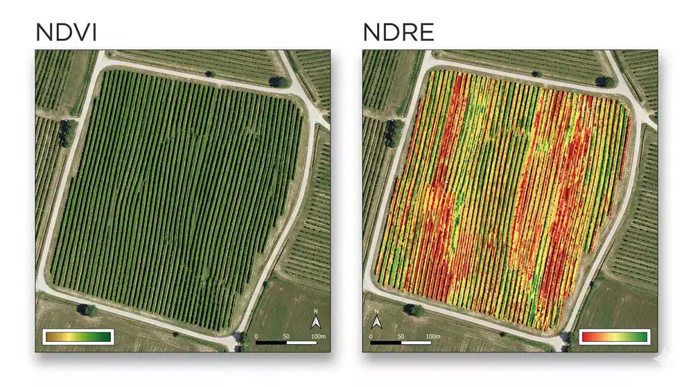 NDVI and NDRE satellite image of an agricultural field.
