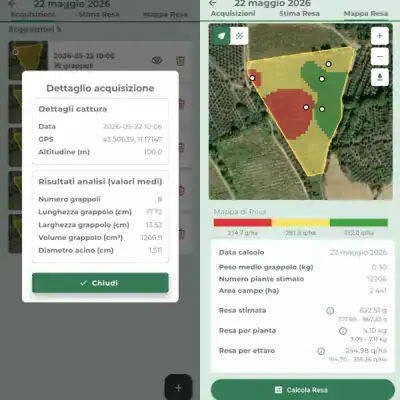 Mappa di resa agricola con analisi dettagliata delle aree coltivate e stima della produzione.