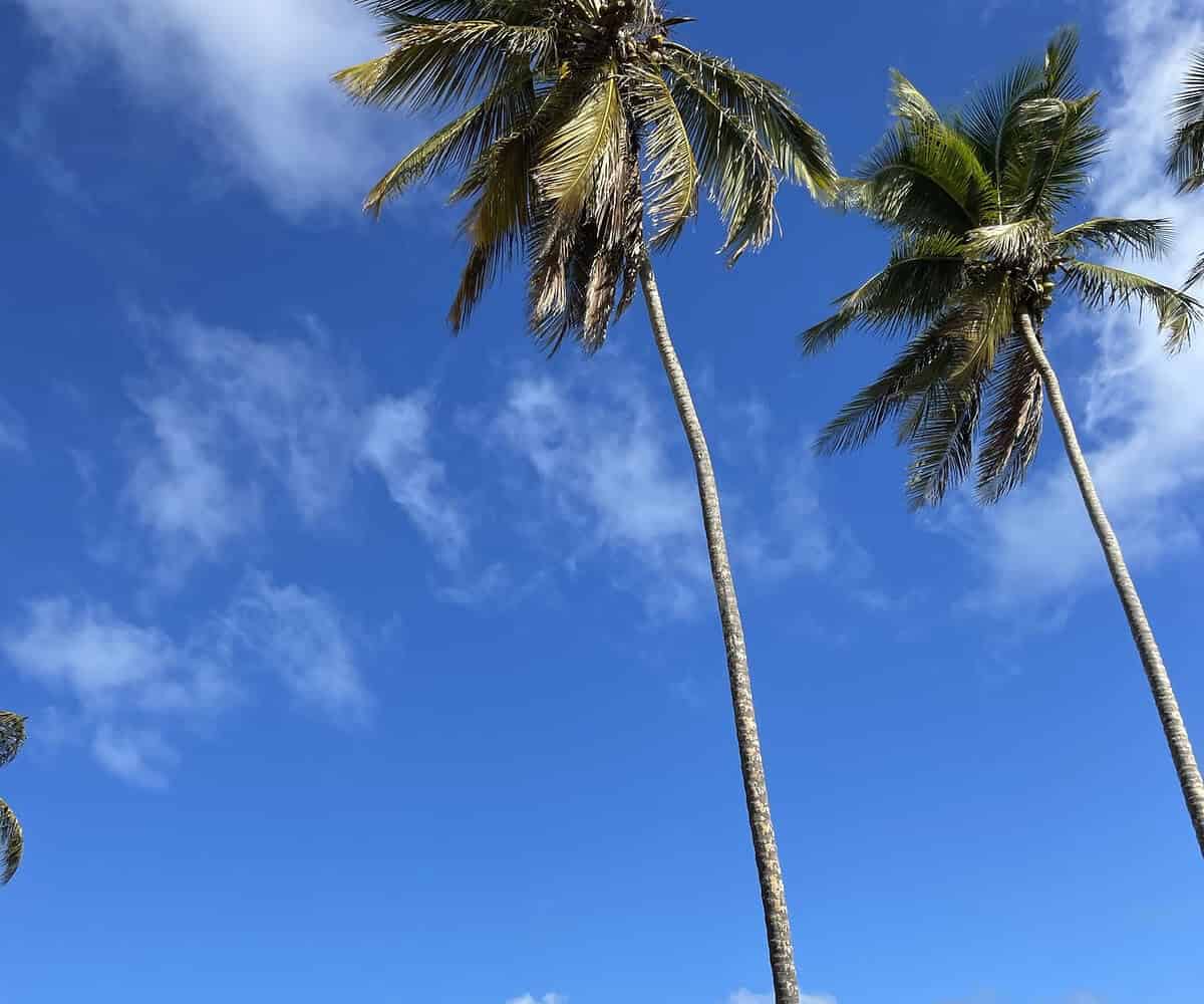Punta Cana Punta Cana tour excursion Dominican Republic.