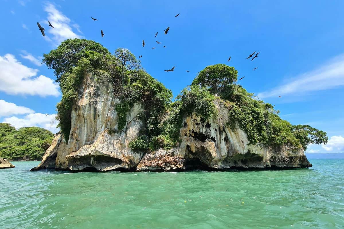 Punta Cana Punta Cana tour excursion Dominican Republic with lush mangroves and caves.
