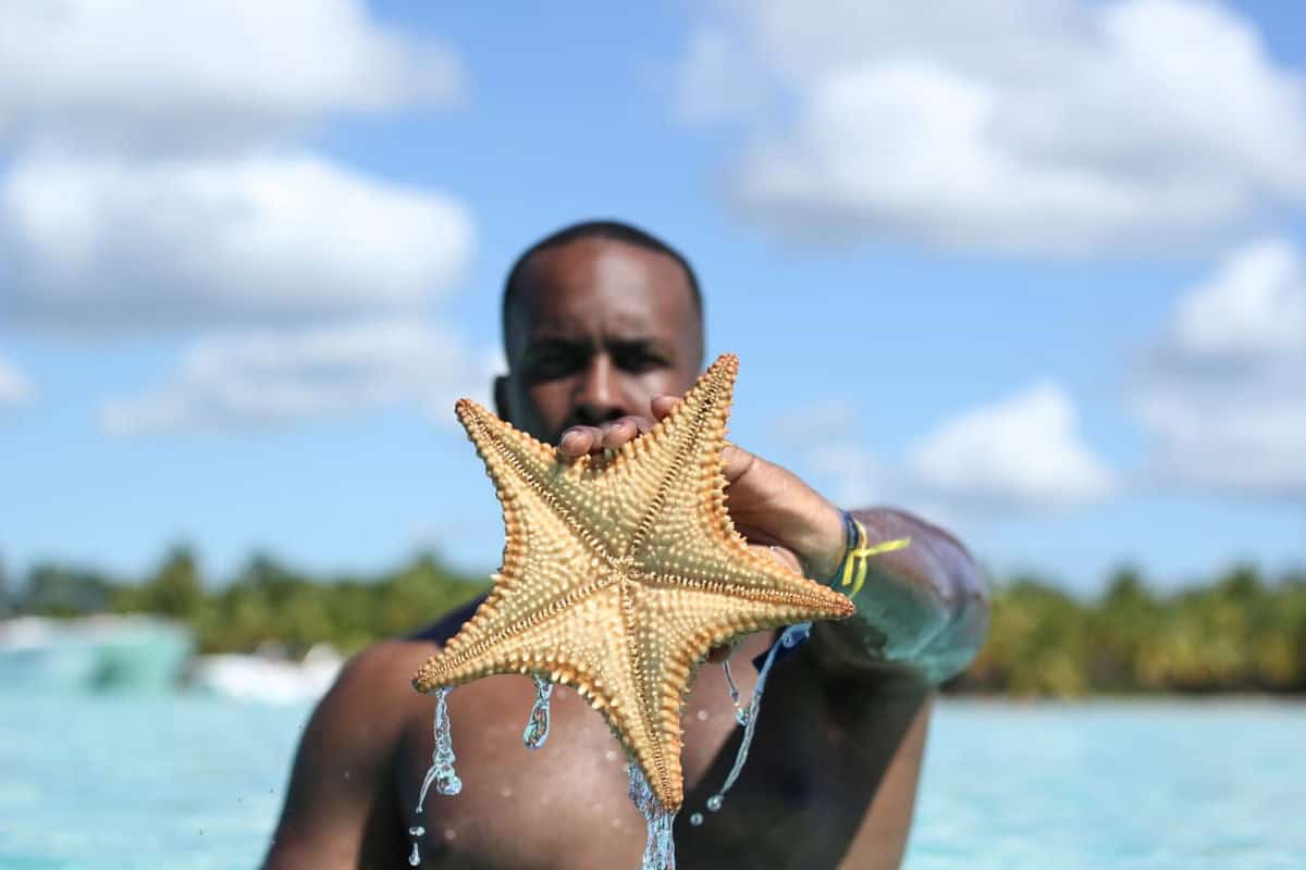 Punta Cana Man holding a starfish in clear Punta Cana waters with a tropical background.