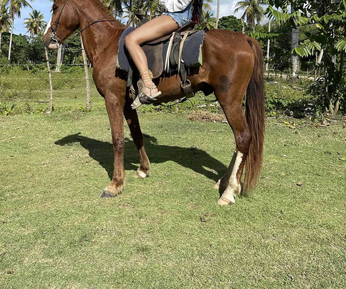 Punta Cana Punta Cana tour excursion Dominican Republic.