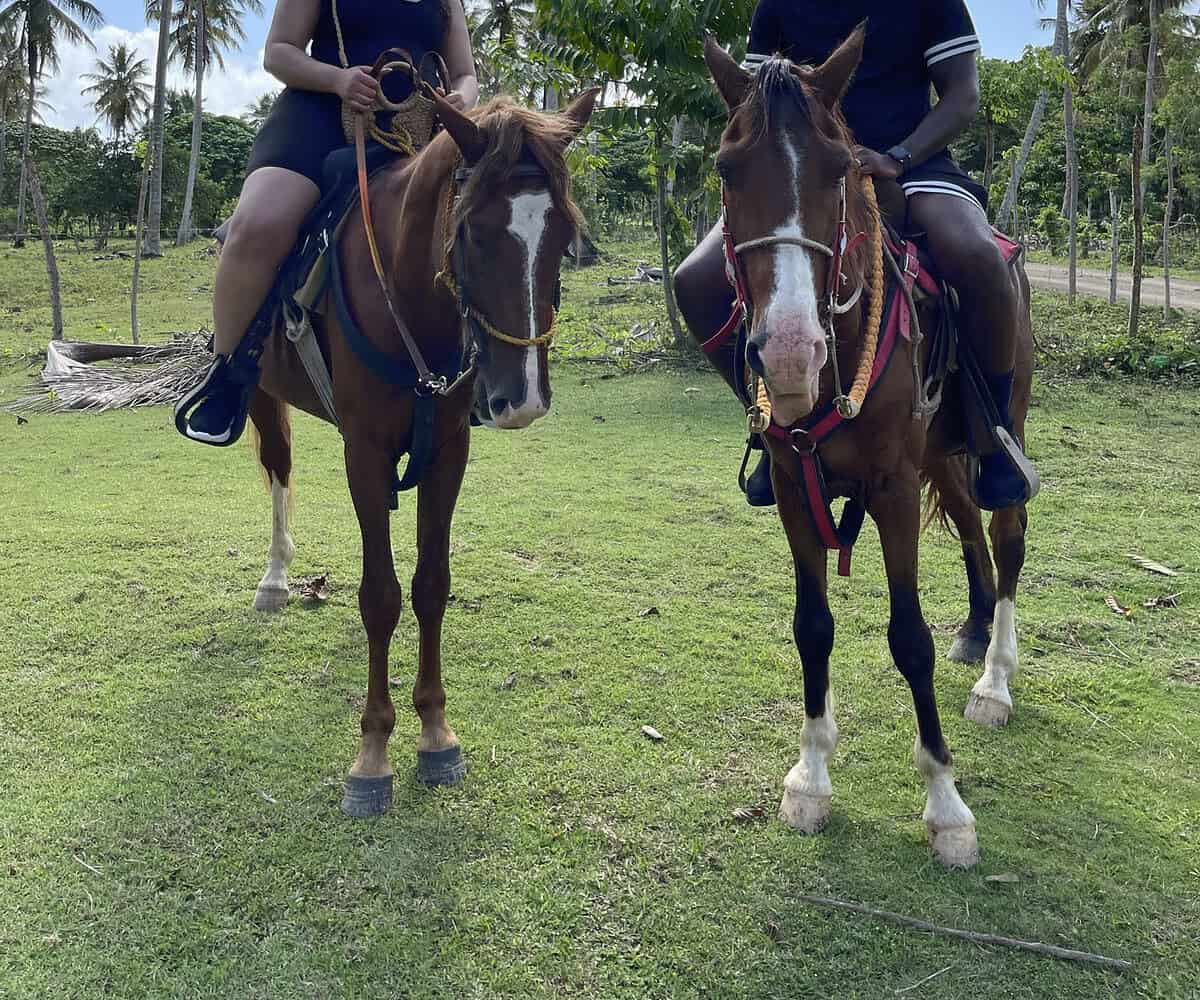 Punta Cana Punta Cana tour excursion Dominican Republic.