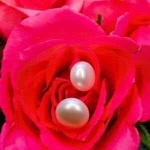 NURA Natural Freshwater Pearl Stud Earrings