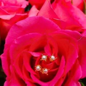 Σκουλαρίκια MIMI Natural Pearl Stud