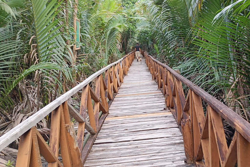 Diglipur Tour Package @17,500/- 3 Diglipur Tour Package @17,500/- Mangrove Safari at Dhaninalah Walkway Diglipur Tour Package @17,500/-