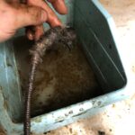 Unclog a Frozen Shower