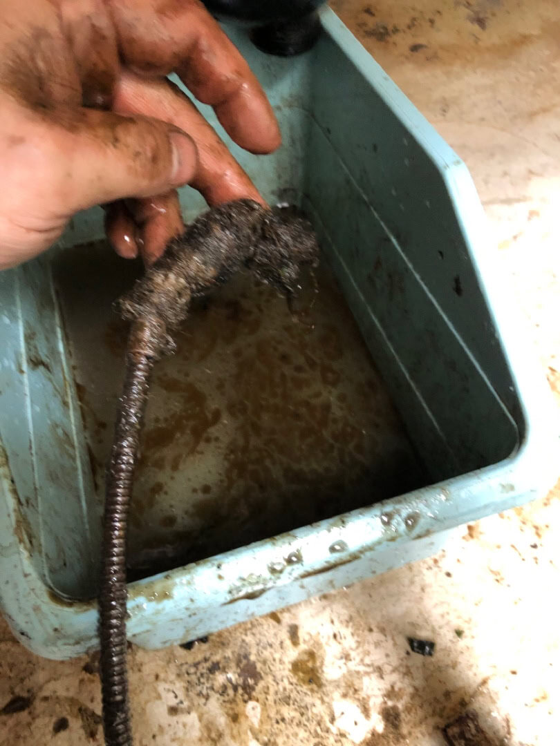 Unclog a Frozen Shower