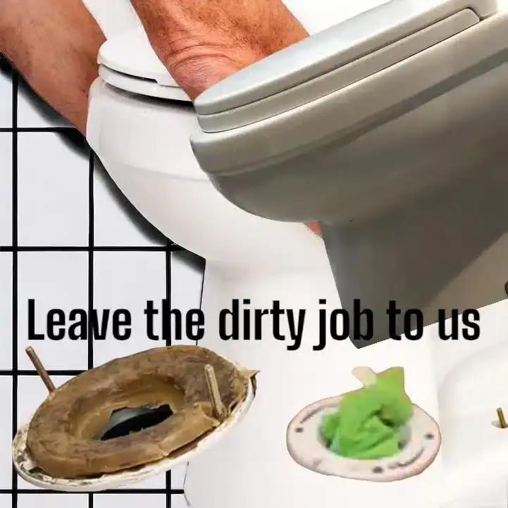 Toilet Cleaning