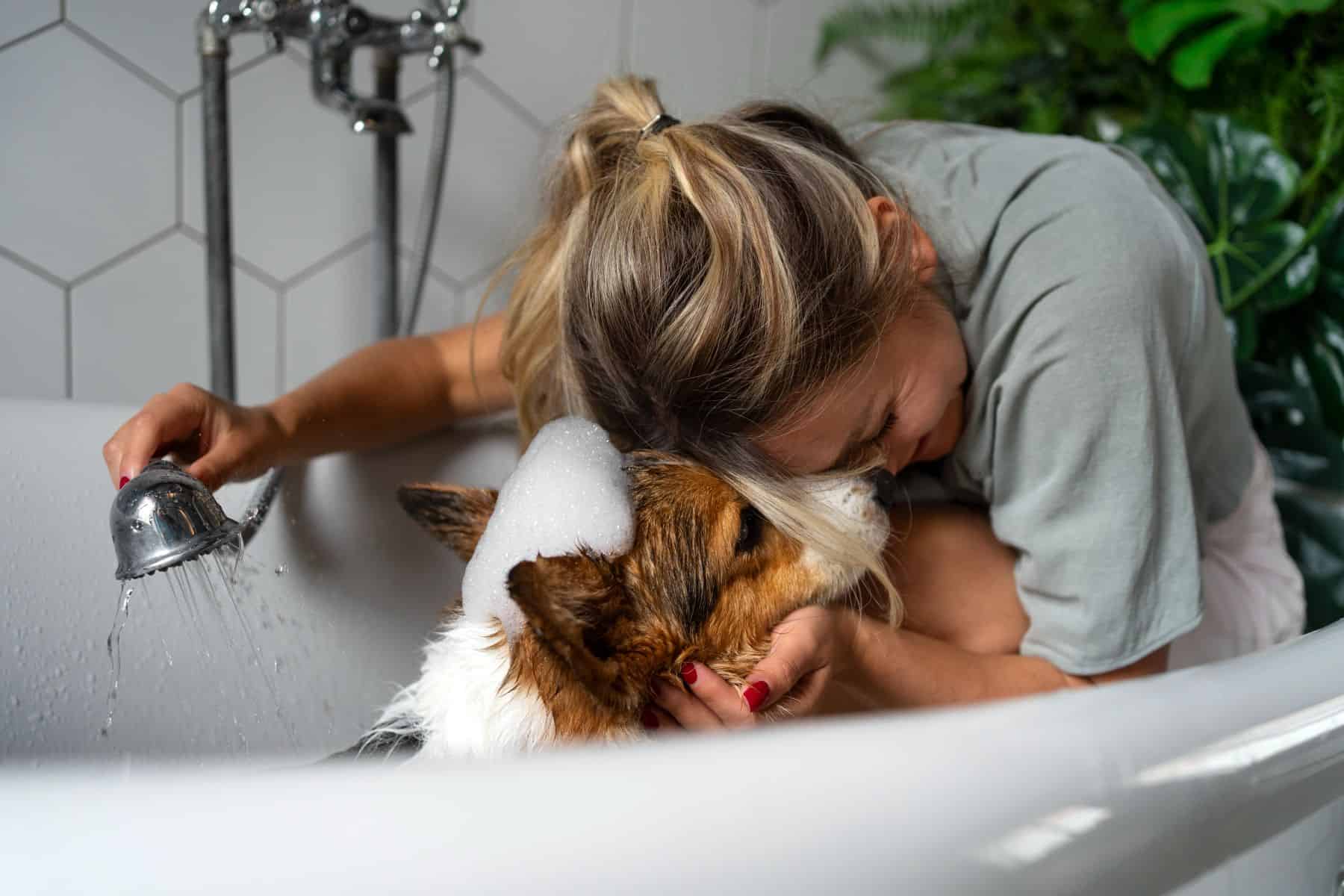 Pet and Owner