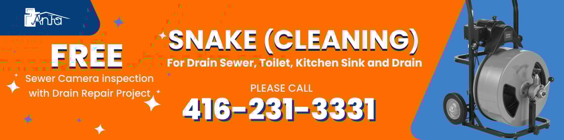 Snake Cleaning Ad Banner