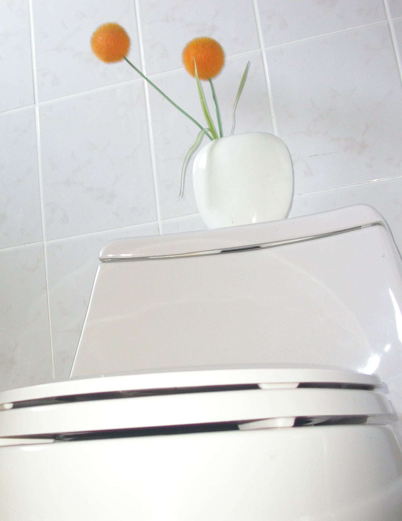 Toilet plumbing service