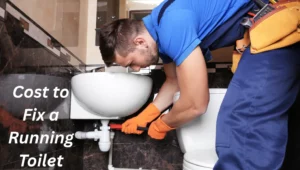 How Much Does It Cost to Fix a Running Toilet in Toronto?