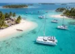An elegant white catamaran floating in clear, calm Caribbean waters near a tropical island with palm trees and thatched-roof huts, perfect for serious cruisers seeking adventure and relaxation.
