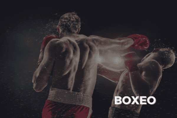 Guía de Apuestas Boxeo