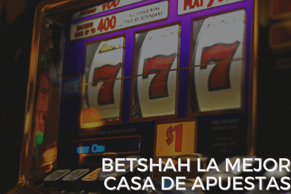 BetShah la Mejor Casa de Apuestas