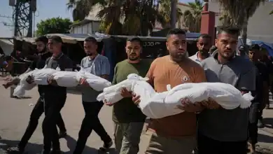 Over 60 martyrs in Gaza