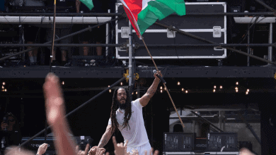 Protestor holding Palestinian flag during demonstration at a public event.