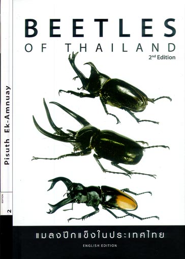 Beetles of Thailand