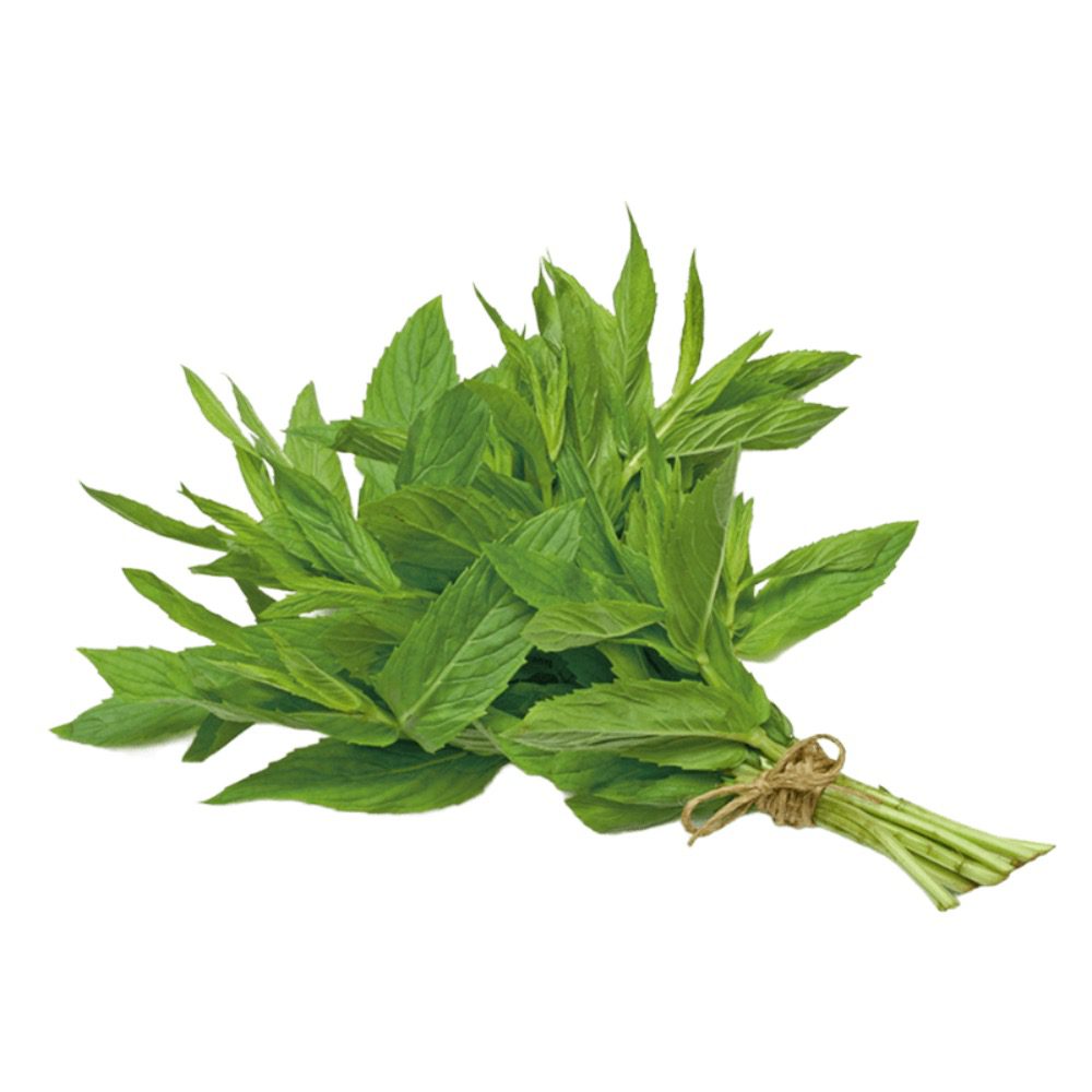 Frische Minze für asiatische Gerichte im Online-Shop.