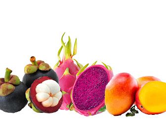 Asiatische Lebensmittel Online-Shop.