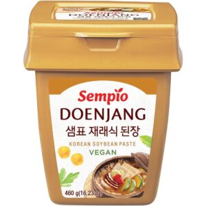 Asiatischer Doenjang-Koerper mit koreanischer Sojabohnenpaste.