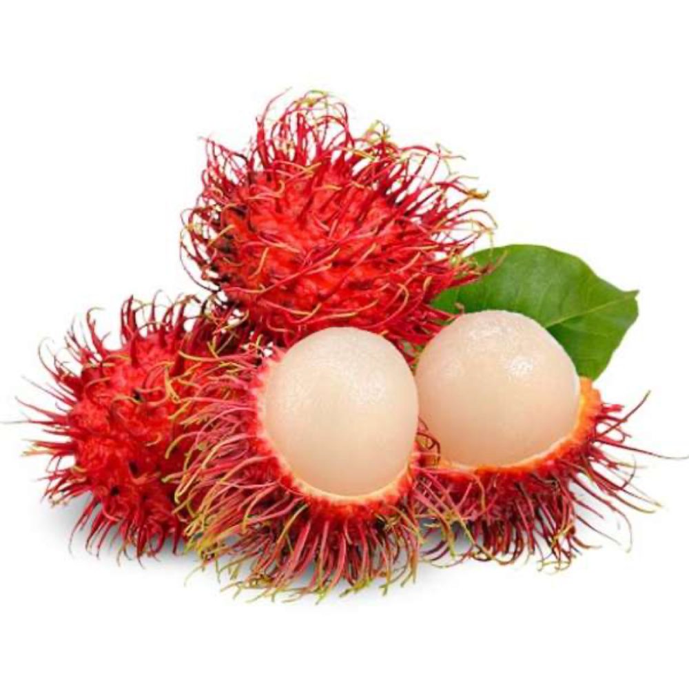 Rambutan Früchte, asiatische Lebensmittel Online-Shop.