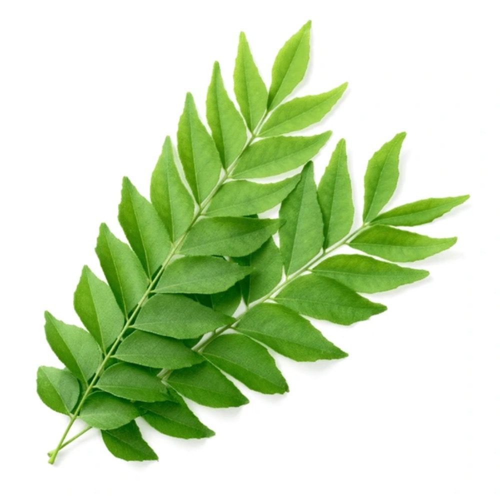Asiatische Lebensmittel Online-Shop.