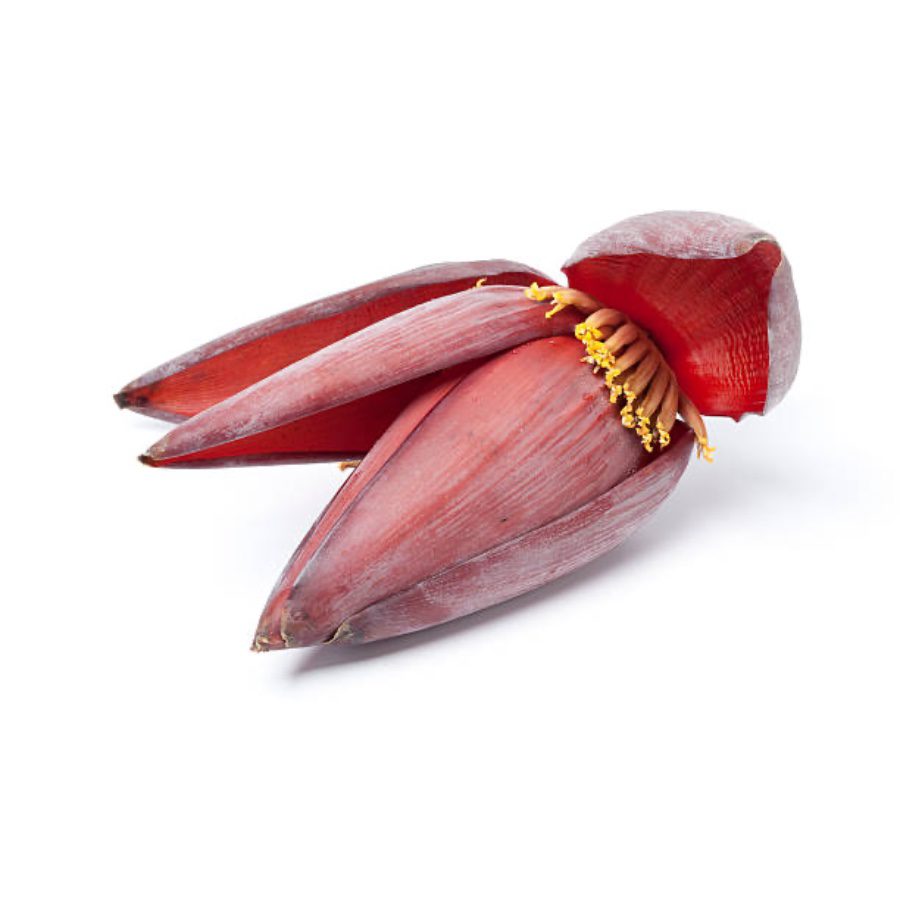 Asiatischer Lotusblütenknospe, frisches asiatisches Lebensmittel.
