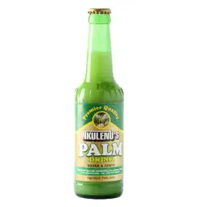 Asiatischer Palm Drink in grüner Flasche, asiatische Lebensmittel Online-Shop.