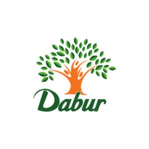 Asiatischer Lebensmittel Online-Shop mit DabuR Logo.