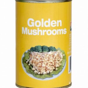 Asiatische Pilze in Dose, Golden Mushrooms, asiatischer Lebensmittelladen.