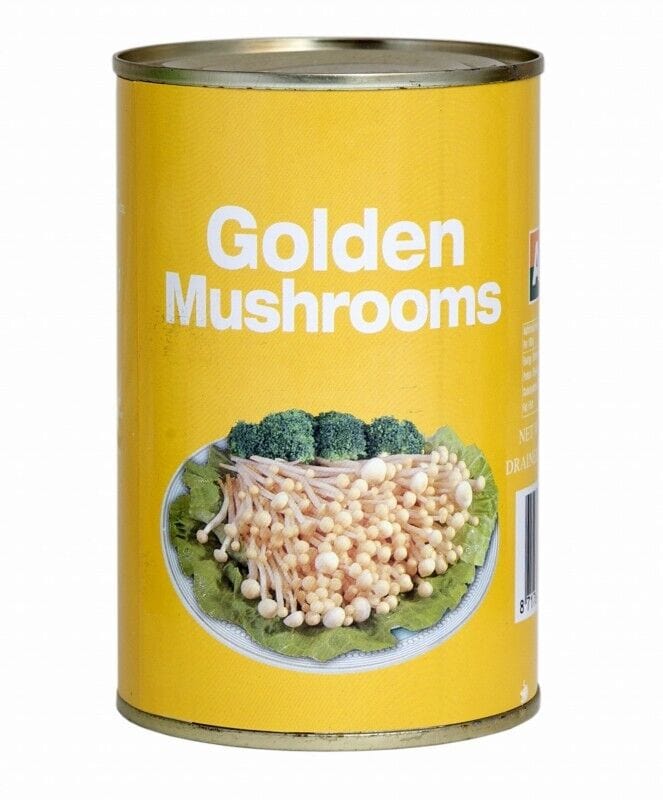 Asiatische Pilze in Dose, Golden Mushrooms, asiatischer Lebensmittelladen.
