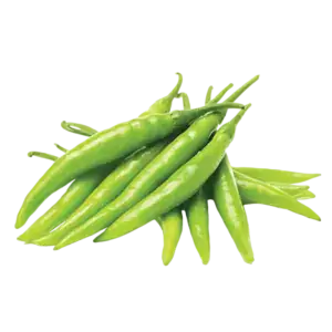 Frische grüne scharfe Chilies für asiatische Gerichte.