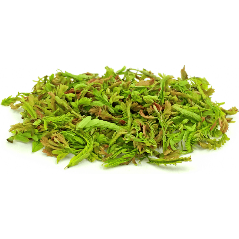 Frische junge Tamarindblätter, asiatische Lebensmittel, 100g Packung, Online-Shop.