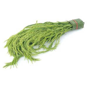 Frischer asiatischer Wasserspinat für Gerichte im Online-Shop.