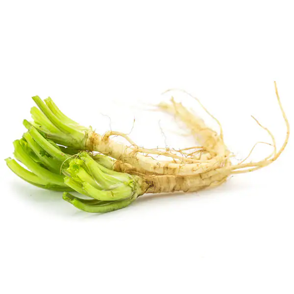 Asiatische Lebensmittel Online-Shop, Thai Korianderwurzeln 100g.
