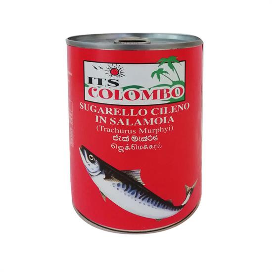 Asiatischer Jack Mackerel in Salzlake, ideal für asiatische Gerichte.