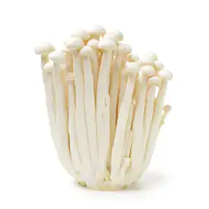 Enoki-Pilze für asiatische Gerichte, asiatischer Lebensmittel Online-Shop.