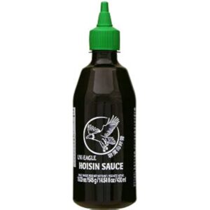 Asiatischer Hoisin Sauce in Flasche, asiatische Lebensmittel Online-Shop.