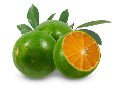 Frische Kalamansi im asiatischen Lebensmittel Online-Shop.