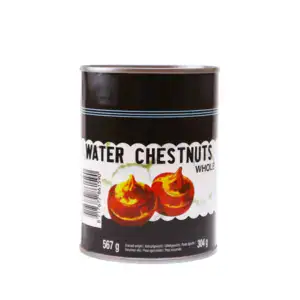 Asiatischer Wasser-Chestnut-Can 567g, asiatische Lebensmittel Online-Shop.
