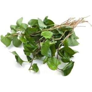 Frische Houttuynia Blätter für asiatische Gerichte, 100g, im Online-Shop.