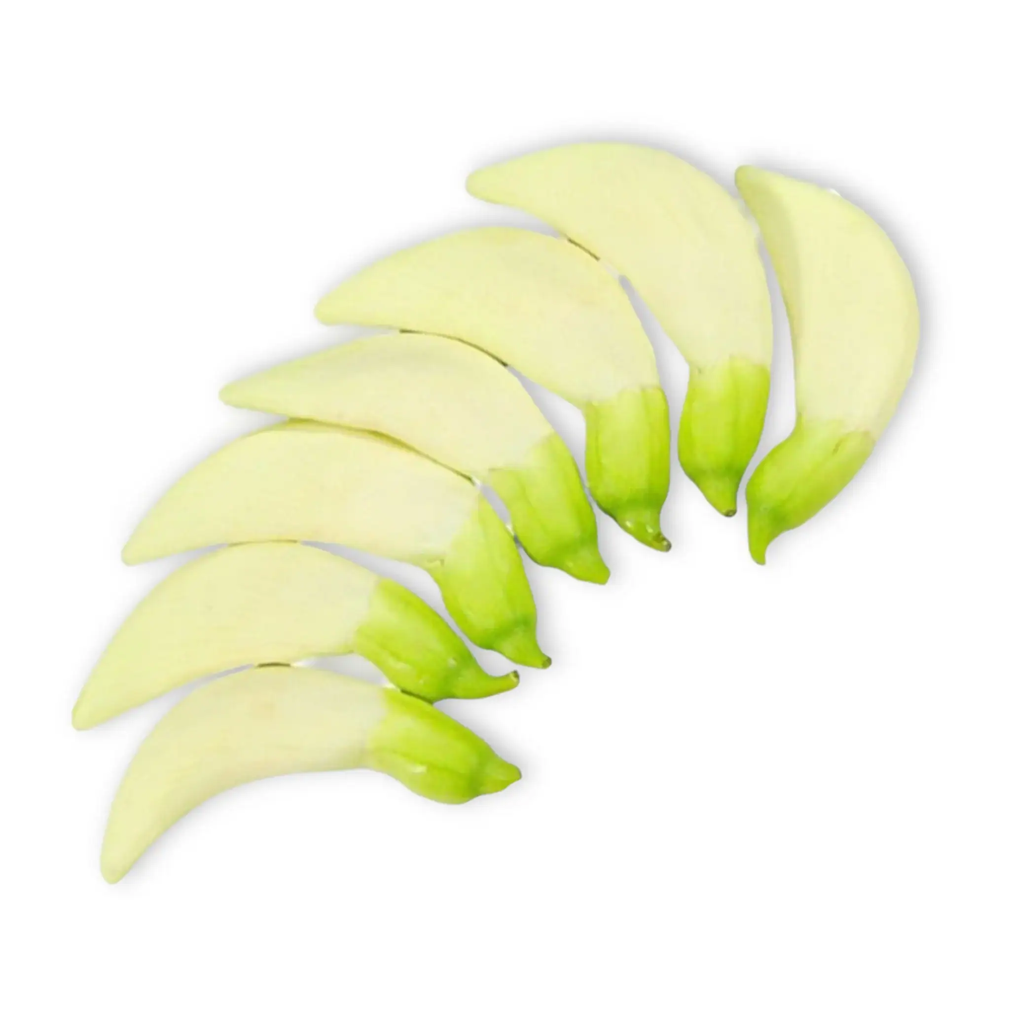 Frische asiatische Lotuswurzeln für die Küche im Online-Shop.